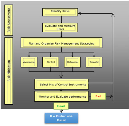 Risk Management Process Flow Chart